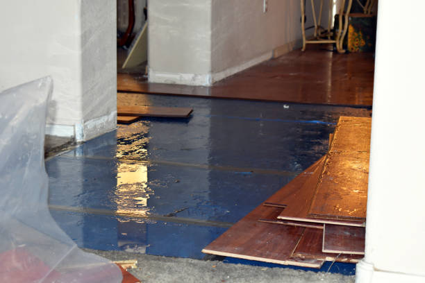 Professional Water Damage Restoration technician working in Dexter, MO